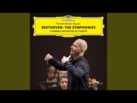 Beethoven: Symphony No. 9 in D Minor, Op. 125 &quot;Choral&quot; - IVa. Finale. Presto