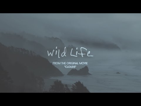 OneRepublic - Wild Life (Lyric Video)