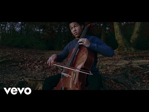 Sheku Kanneh-Mason - The Swan - Sheku Kanneh-Mason (Inspiration)