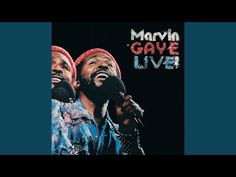 Inner City Blues (Make Me Wanna Holler)