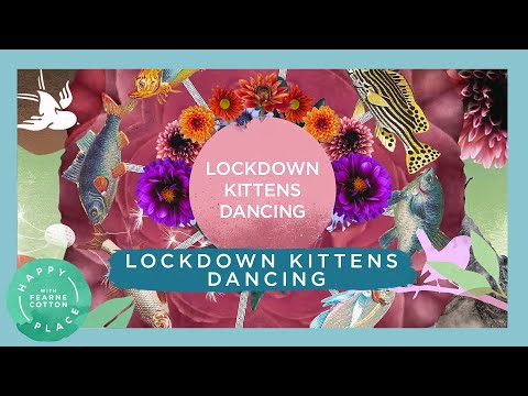 Lockdown Kittens Dancing | Happy Place Album | Fearne Cotton’s Happy Place