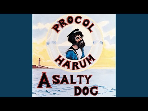 A Salty Dog
