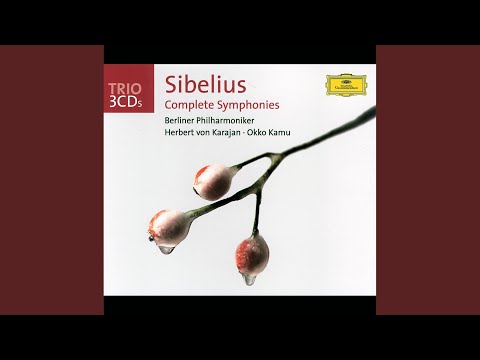 Sibelius: Symphony No. 2 in D Major, Op. 43 - I. Allegretto - Poco allegro - Tranquillo, ma...
