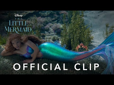 The Little Mermaid | Under The Sea