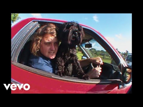 Skegss - Bush TV (Official Music Video)