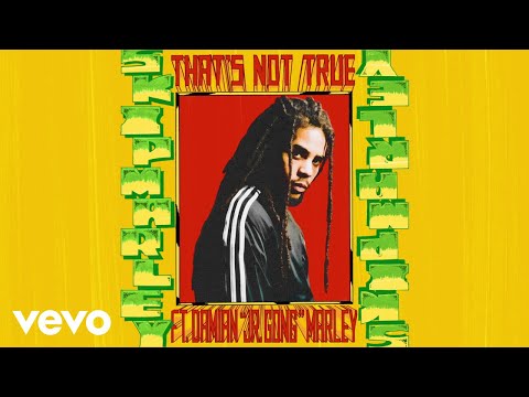 Skip Marley - That&#039;s Not True (Audio) ft. Damian &quot;Jr. Gong&quot; Marley