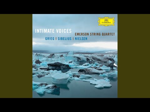 Grieg: String Quartet In G Minor, Op.27 - 1. Un poco andante - Allegro molto ed agitato