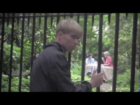 The Drums - Money (Official Video)