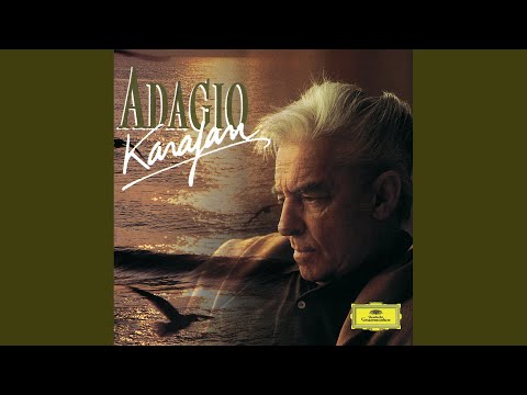 Pachelbel: Canon and Gigue in D Major, P. 37: Canon in D Major, P. 37/1 (Orch. Seiffert)