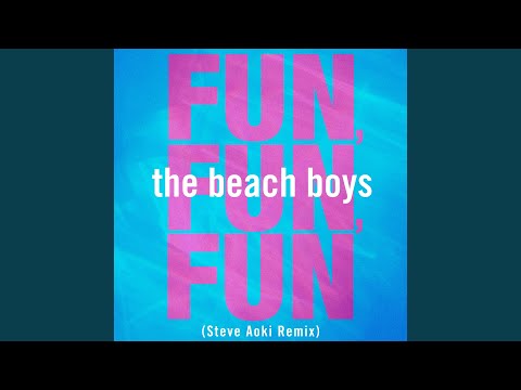 Fun, Fun, Fun (Steve Aoki Remix)