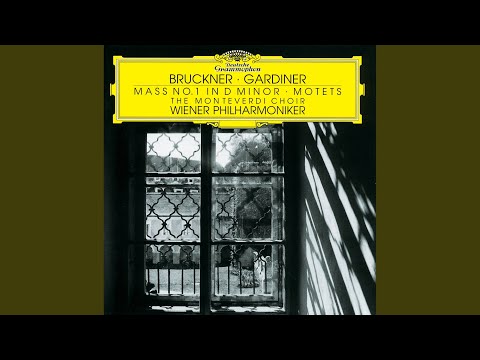 Bruckner: Mass No. 1 in D Minor, WAB 26 - Agnus Dei