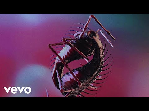 The Horrors - Machine (Official Video)