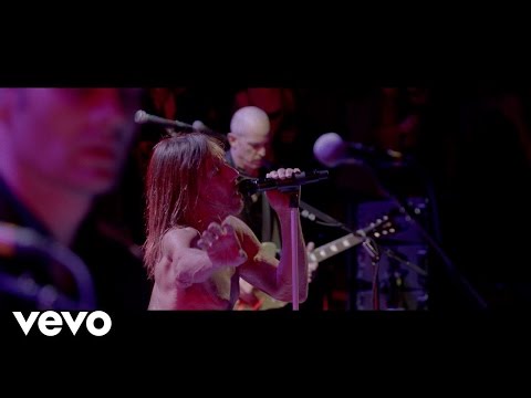 Iggy Pop - Break Into Your Heart (Live At The Royal Albert Hall)