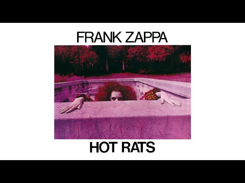 Frank Zappa - Willie The Pimp (Visualizer)