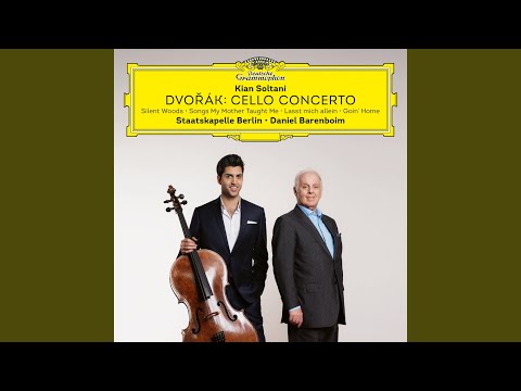 Dvořák: Cello Concerto in B Minor, Op. 104, B. 191 - I. Allegro
