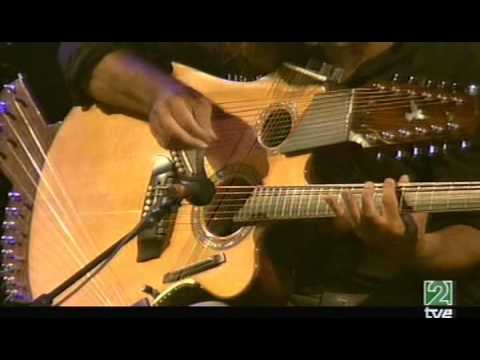 Pat Metheny Pikasso 42-string guitar