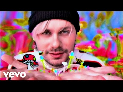 5 Seconds of Summer - Wildflower (Official Video)