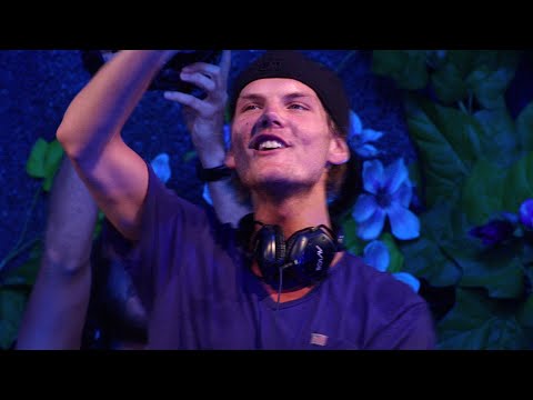 Avicii - Wake Me Up (Live at Tomorrowland, 27th July 2013)