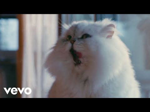 Joywave - Scared (Official Video)