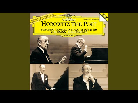Schubert: Piano Sonata No. 21 in B-Flat Major, D. 960: I. Molto moderato