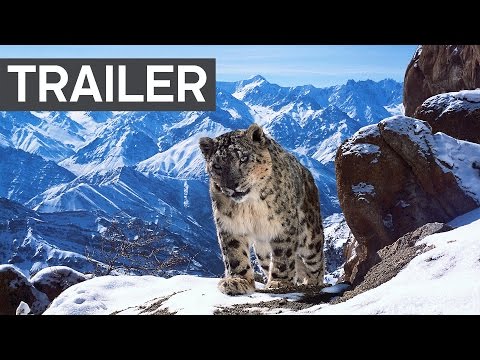 Planet Earth II: Official Extended Trailer | BBC Earth