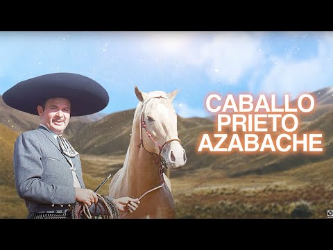 Antonio Aguilar - Caballo Prieto Azabache (Letra Oficial)