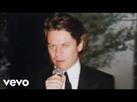 Robert Palmer - I Didn&#039;t Mean To Turn You On (Official Video)