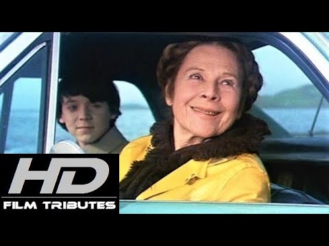 Harold and Maude • If You Want to Sing Out, Sing Out • Cat Stevens