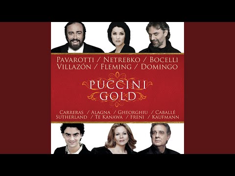 Puccini: La rondine, SC 83 / Act I - &quot;Chi il bel sogno di Doretta&quot;