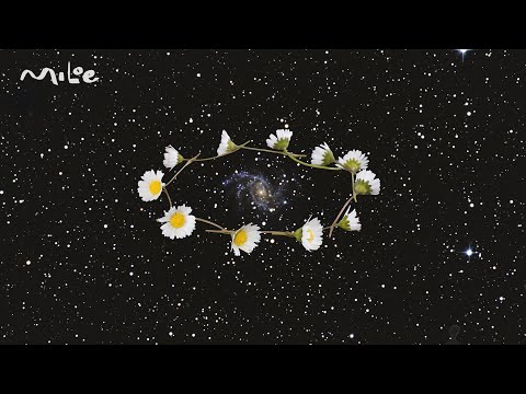 Miloe - make ur way ft. 80purppp (Visualizer)