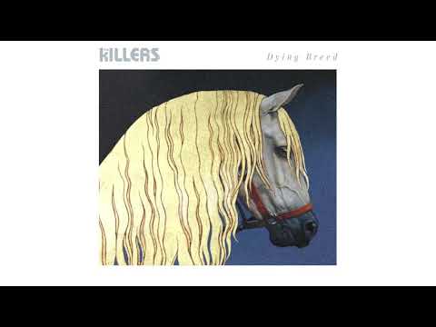 The Killers- &quot;Dying Breed&quot; (Visualizer Video)