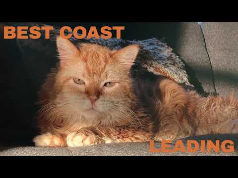 Best Coast - Leading (Official Audio)