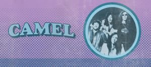 Camel