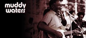 Muddy Waters