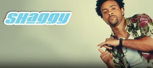Shaggy