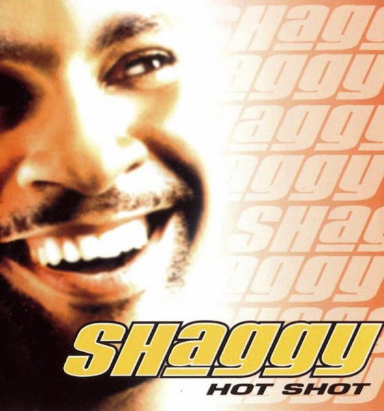 Shaggy ‘Hot Shot’ artwork - Courtesy: UMG