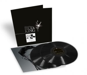 BBKing_3D_VinylVisual
