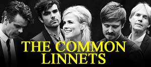 The Common Linnets