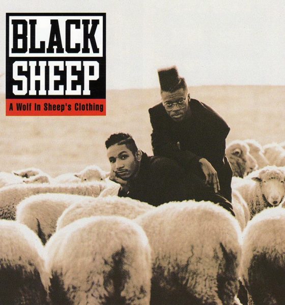 Black Sheep A Wolf In Sheep’s Clothing album cover web optimised 820