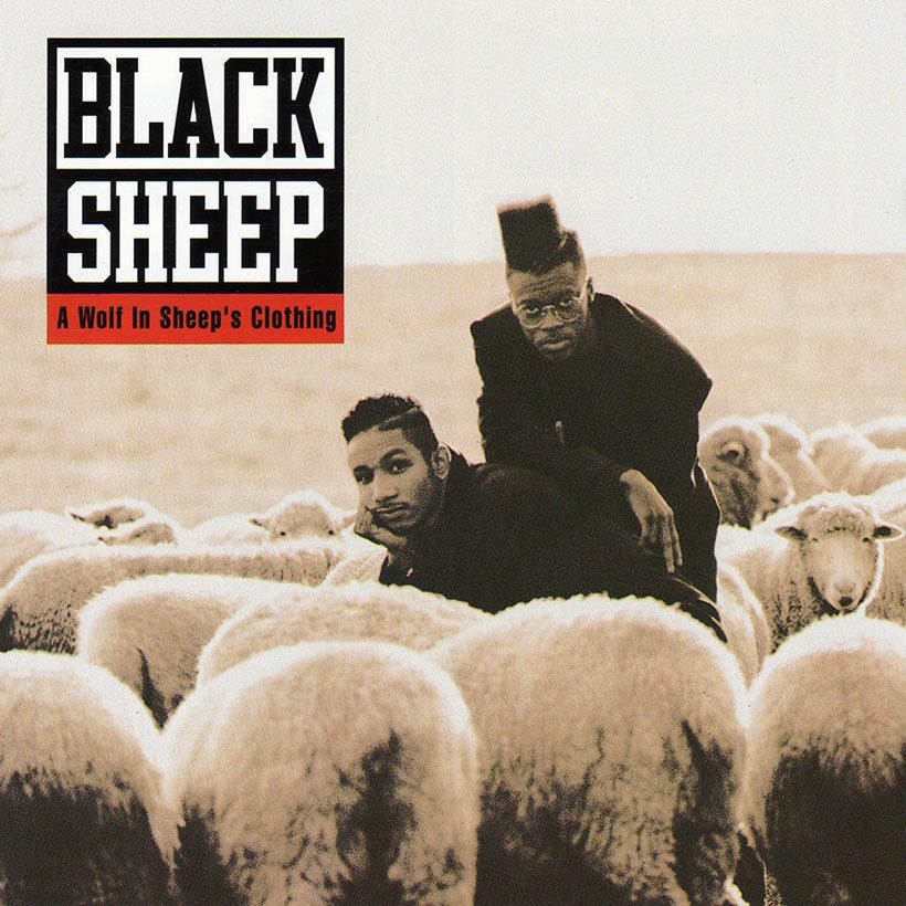 Black Sheep A Wolf In Sheep’s Clothing album cover web optimised 820