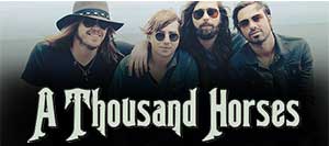 A Thousand Horses