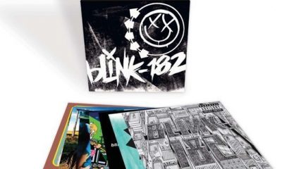 Blink-182 Vinyl Box Set - 530