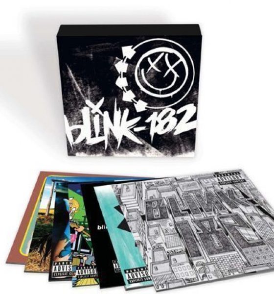 Blink-182 Vinyl Box Set - 530