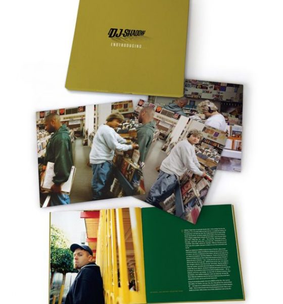 DJ Shadow - Endtroducing Endtrospective Edition - 530