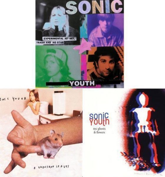 Sonic Youth - Experimental Leaves And Flowers - 530
