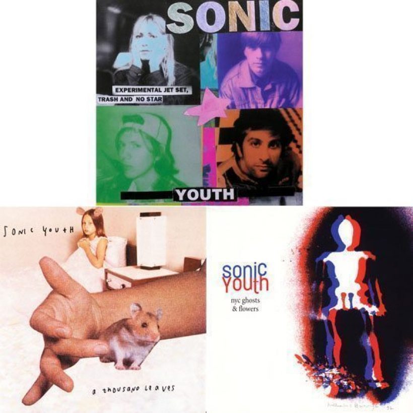 Sonic Youth - Experimental Leaves And Flowers - 530