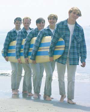 The Beach Boys Rock N Roll Image