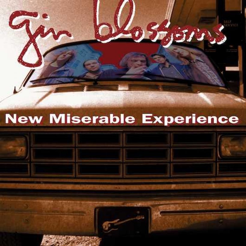 Gin Blossoms New Miserable Experience Vinyl Reissue