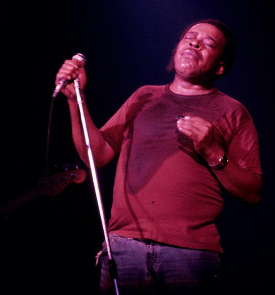 James Cotton - Photo: Richard E. Aaron/Redferns