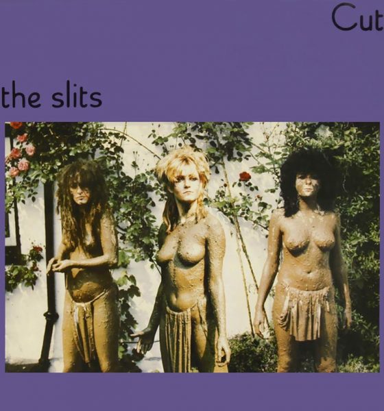 Vinyl Slits Landmark Debut Cut